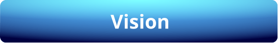 Vision