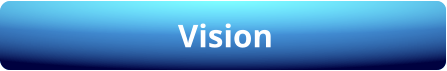 Vision
