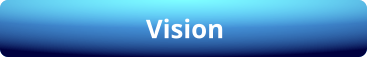 Vision